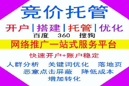 跨行业SEM优化经验分享：如何实现ROI最大化
